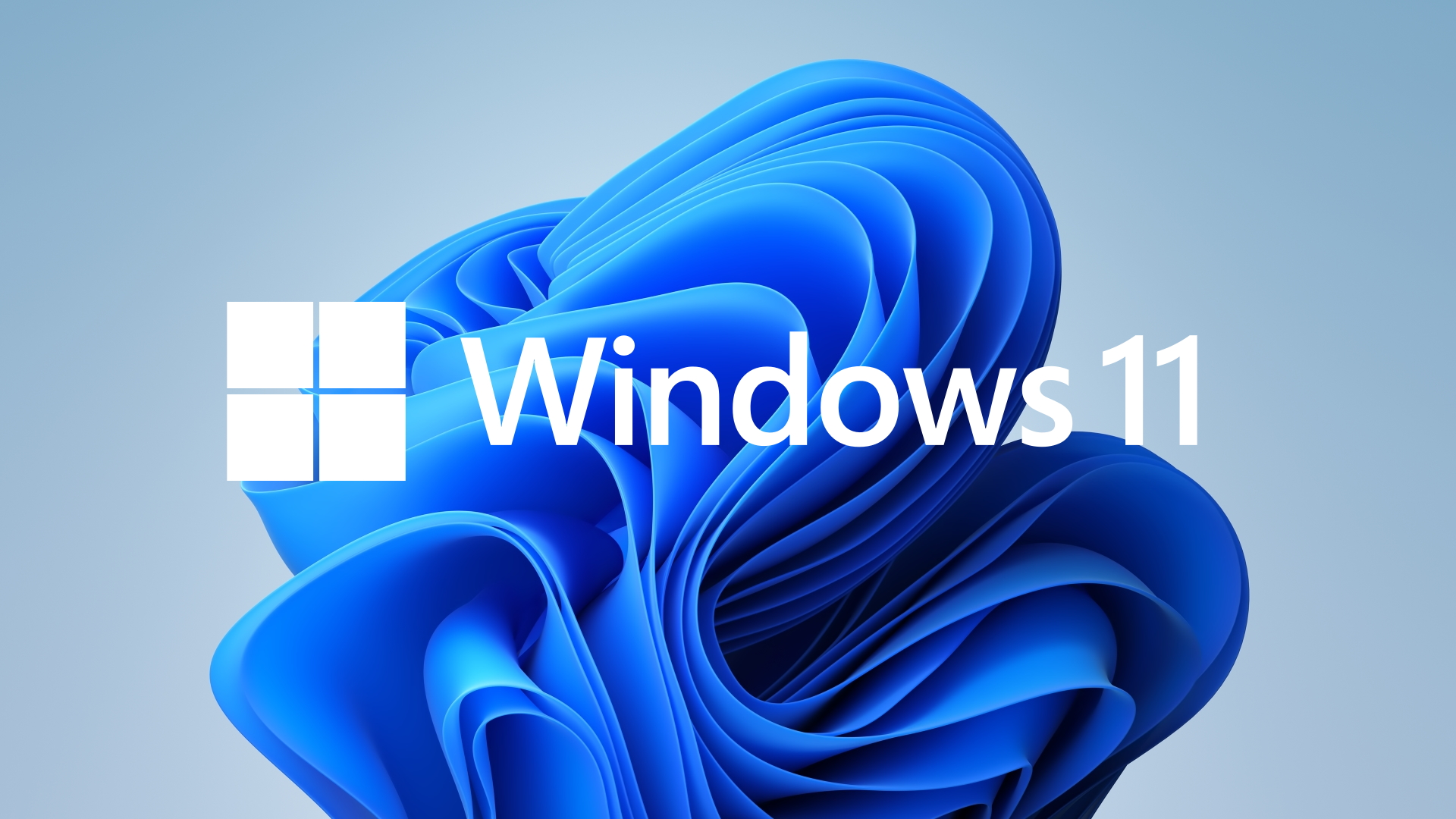 Windows 11 photo